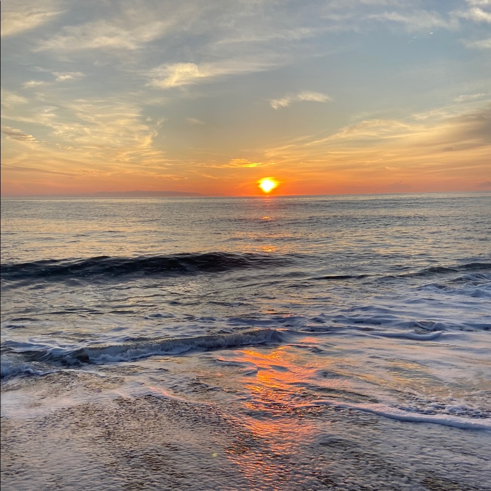 Meet your Posher, Julianne